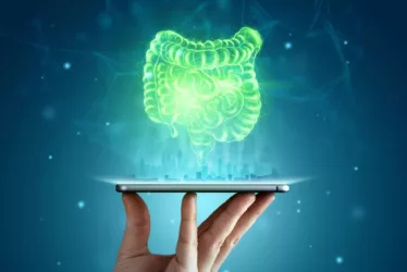 shutterstock 1960287619 1 jpg