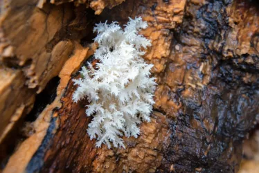 shutterstock 711984961 jpg